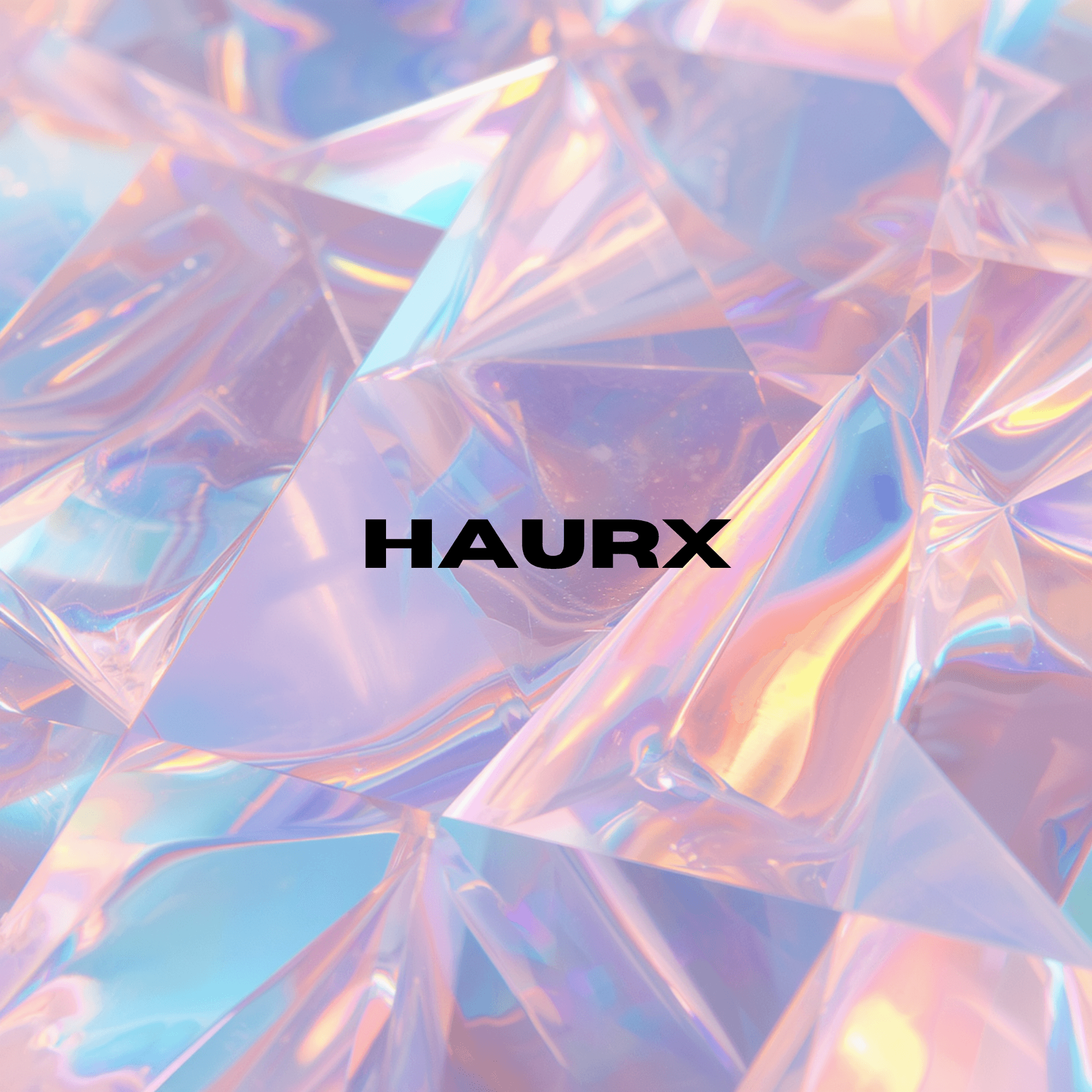 Haurx Agent 工程工作研究封面